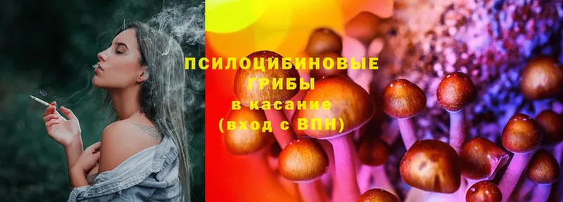 кракен вход  Артёмовск  Псилоцибиновые грибы Psilocybe  магазин продажи наркотиков 